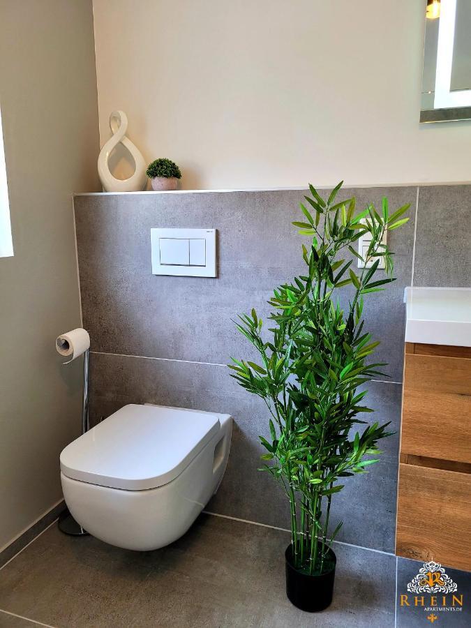 Top Modernes Rhein Apartment ファレンダー エクステリア 写真